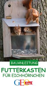 Eichhornchen Futterkasten Bauplan Anleitung Eichhornchen Tierhauser Gartenprojekte
