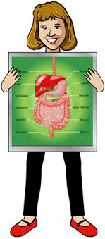 Select from 35285 printable crafts of cartoons, nature, animals, bible and many more. Digestive System Games Science Trek Idaho Public Television