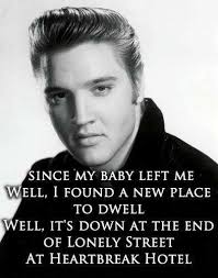 Elvis