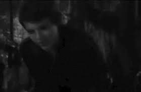 Robbie Kay Peter Pan Imagines