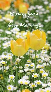 May All Of Your Tears Come To Blossom With Gladness They Are Singing Spring Flowers Spring Blooms Flowers