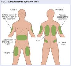 Administering Drugs Via A Subcutaneous Injection Nursing Times