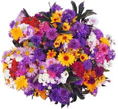 Картинки по запросу анимашки цветы