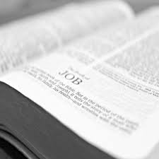 You could not lonely going with book increase or . King James Bible Trivia Apps En Google Play