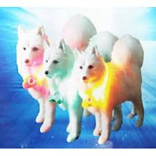 Isikli Kedi Kopek Kolyesi 12 5 Cm Pratikurunler Alisveris Indirim Trendylodi Outdoor Decor Outdoor Pool Float