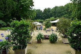 See 8 unbiased reviews of oranjerie plantentuin meise, rated 3.5 of 5 on tripadvisor and ranked #16 of 18 restaurants in meise. Een Regenachtige Namiddag In De Plantentuin Van Meise Wannderful