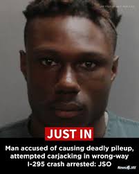 The arrest report from the Jacksonville Sheriff's Office states that Rodney  Wesley, 20, has been charged with grand theft auto, carjacking, theft,  leaving the scene of a crash involving death, vehicular homicide,