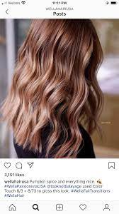Pin By Nicky Kaul On Wella Mischungen Hair Color Light Brown Hair Color Formulas Light Hair Color