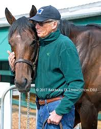 John Sherriffs Comforts Royal Mo After His Injury In A Morning Workout Before The Preakness Sur Thoroughbred Horse Racing English Bull Terriers Animal Science
