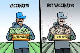 Impoverished people in developing countries have more sense than rich people. A Latino Cartoonist Is Using His Art To Encourage Vaccinations