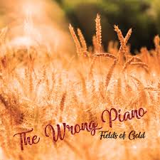 23 on the billboard hot 100… Fields Of Gold Instrumental Piano Version Single By The Wrong Piano Spotify
