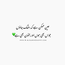 Pin By M I N A L On Darkness0993 In 2020 Urdu Thoughts Urdu Quotes Motivational Quotes