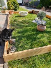 Suchen Dringend Weibliche Griechische Landschildkroten In Bernau Reptilien Terraristik Kaufen Und Ver Landschildkroten Reptilien Griechische Landschildkrote
