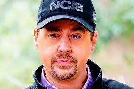 NCIS writers lay foundation for Sean Murray's potential replacement in  Season 22