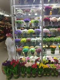 Check spelling or type a new query. 9184 Luolita Pu Real Touch Flowers Manufacturer
