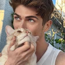 What's going on? A Legendary Pokemon appear?