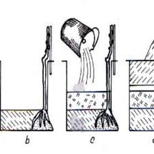 Check spelling or type a new query. Pdf ViticulturÄƒ