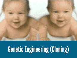 (polls on animal technologies are summarized here.) the center for genetics and society has compiled and analyzed these results, w Genetic Engineering Cloning By Mattsalz102