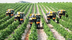 Bacchus To The Future Modern Agriculture Agriculture Wine Safari