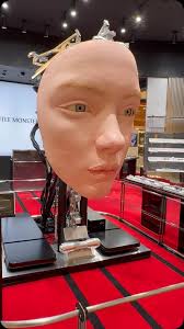 In SYDNEY AU airport waiting for my flight to NZ! I’ve never seen something  like this- def eye catching! Blessed to be