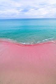 12 Totally Unique Kinds Of Beaches You Probably Never Knew Existed Places To Travel Vacation Spots Dream Vacations