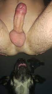 ZooTube1.com
