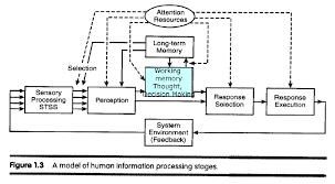 flow diagram of how information flows through the brain