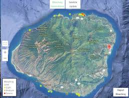 Owners who claim their business can update listing details, add photos, respond to reviews, and more. Hawaii S Coral Reefs Are Dying The Garden Island