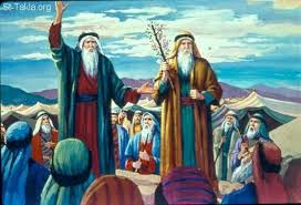 The story of aaron's rod being turned into a serpent. Moses Aaron S Rod