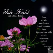 Pin Von Meggi M Auf Gute Nacht In 2020 Gute Nacht Liebe Gute Nacht Grusse Gute Nacht Grusse