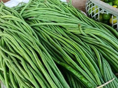 Kacang Panjang