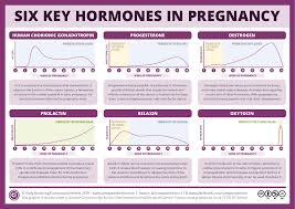 Six Key Pregnancy Hormones And Their Roles Compound Interest