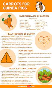 Pin On Guinea Pig Food And Diet