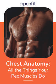 The pectoralis major and the pectoralis minor, known collectively as your pecs. Chest Anatomy What Are The Muscles And What Do They Do Openfit