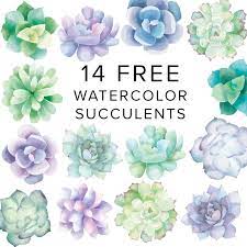 Download Free Watercolor Succulent Art Prints Julie Comstock Succulent Art Succulent Painting Etsy Art Prints