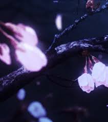 get 20+ view asthetic discord anime pfp gif background gif. Anime Gifs Images On Favim Com