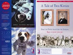 Maybe you would like to learn more about one of these? World Spay Day Then And Now Humanepro By The Humane Society Of The United States
