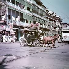 Victoria horse drawn carriage Bombay ...