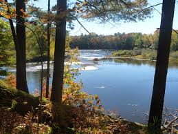 Image result for Natural Yellow 1999 Fleet