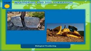 The ph scale is used to measure how acidic or basic a soil is. Weathering And Soil Formation Weathering And Soil Profile Class 7 Youtube