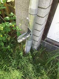 niet alle regenwater in het riool laten lopen goed tegen uitdroging van de grond natuurlijke tuin planten tuin