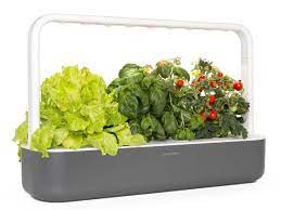 The Smart Garden 9 Smart Garden Indoor Gardening Kit Herbs Indoors