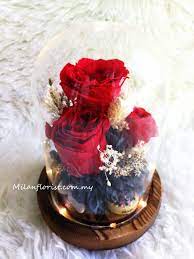 milan florist 永生花preserve flower hoa
