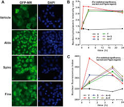 We did not find results for: Finerenone Impedes Aldosterone Dependent Nuclear Import Of The Mineralocorticoid Receptor And Prevents Genomic Recruitment Of Steroid Receptor Coactivator 1 Journal Of Biological Chemistry