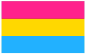 Great news!!!you're in the right place for lgbt pansexual. Pansexual Gay Pride 5ft X 3ft Flag Amazon De Garten