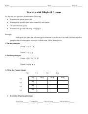 › dihybrid punnett square practice key. Dihybrid Cross Practice Problems Answer Key Pdf Dihybrid Cross Practice Problems 1 A Cross Between Two Parent Reebops That Are Heterozygous For Two Course Hero