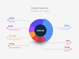 financial calculator infographic pie chart chart