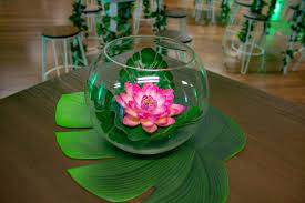 We did not find results for: Lotus Flowers Hire Melbourne Feel Good Events Diy