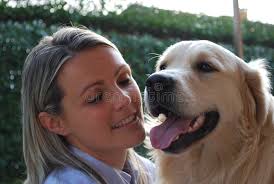 625 Dog Face Palm Stock Photos