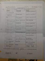 Check spelling or type a new query. The Instructions To This Cell As A Factory Ws Were To Come Up With An Analogy Of Each Cell Organelle To Parts Of A Factory Comin Science Cells Cell Parts Cell